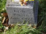 image of grave number 914485